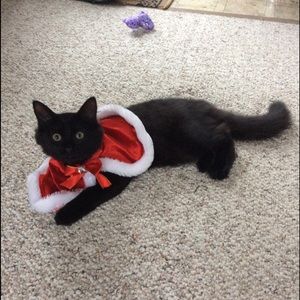 Meet your Posher, Tracey